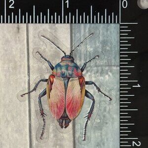 🌀10/$10🌀 Translucent Moth Dragonfly Beetle Reusable Waterproof Sticker Decal